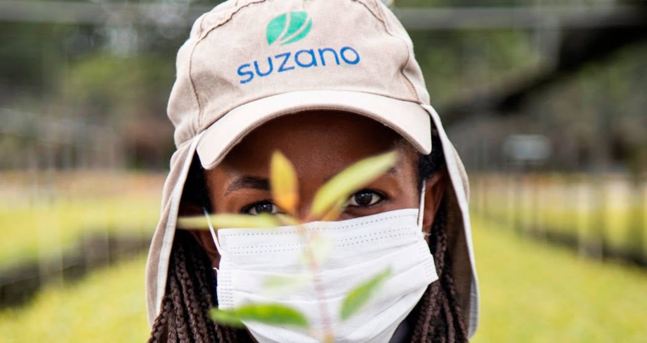 Suzano suzb3 projeto cerrado debêntures energia limpa ação agro