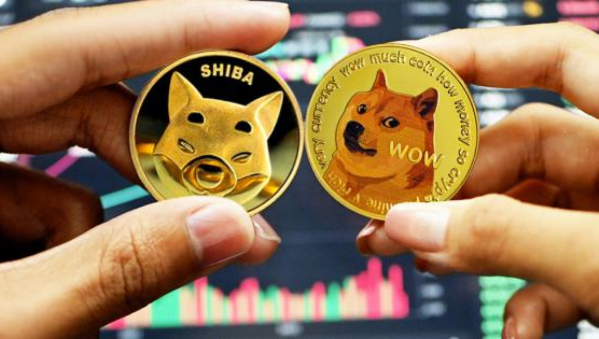 DOGE, SHIB or PEPE? Find out which are the best cryptocurrencies to invest little money and seek quick profits – Money Times