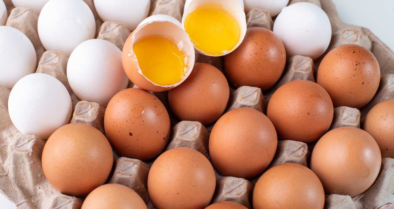 ovos mais baratos por conta do calor