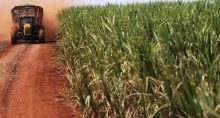 el niño alta preços commodities agrícolas inflação mudanças climáticas clima secas chuvas açúcar cacau café brasil agricultura agronegócio usinas sucroalcooleiro produção vendas exportação