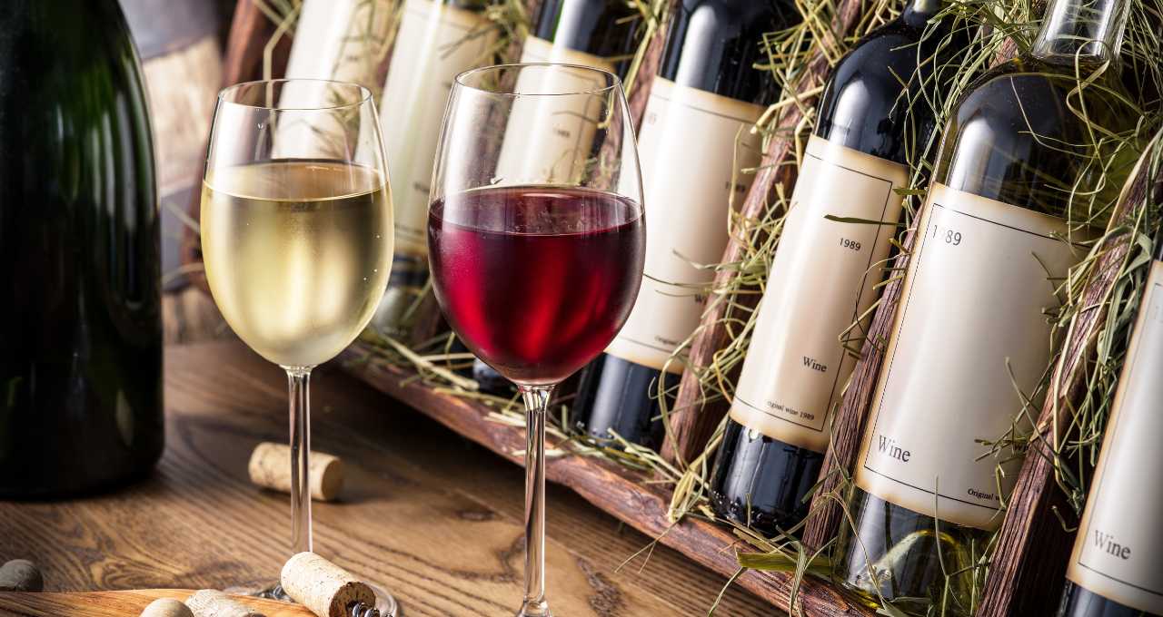 black friday vinhos wine 80% desconto 24 novembro 2023 promoção melhores
