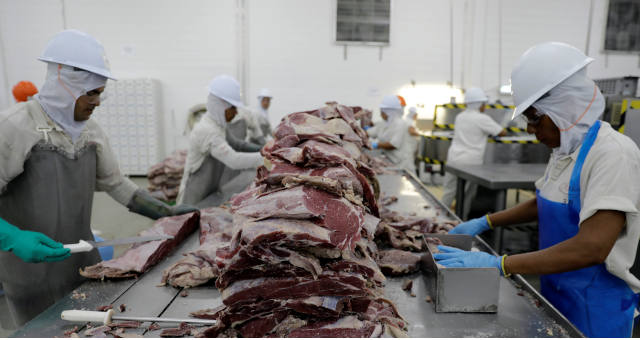 carnes exportações isenção