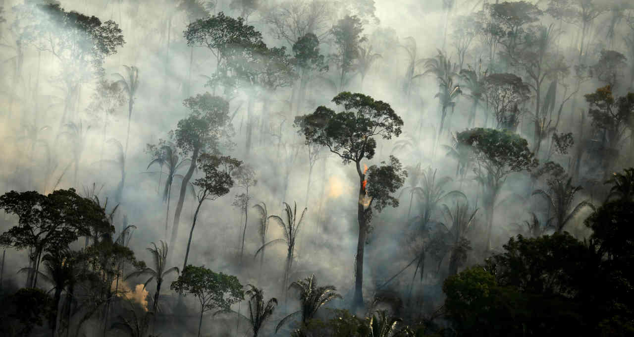 amazônia desmatamento