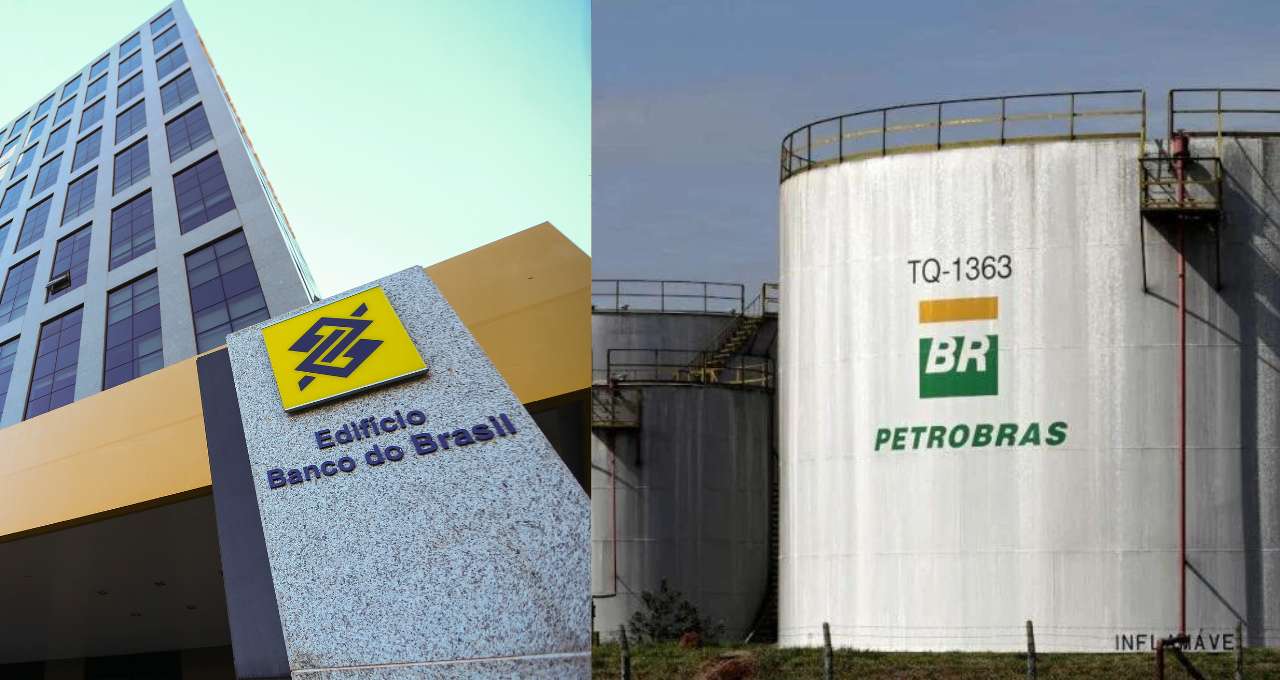 Banco do Brasil e Petrobras Dividendos JCP resultados