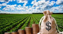 agro agronegócio investimento bilionários