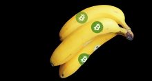 bitcoin zona da banana