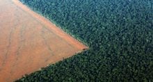 desmatamento amazônia cerrado