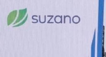 Por que Suzano (SUZB3) desaba 10%? Entenda se oferta de US$ 15 bilhões pela International Paper é ruim