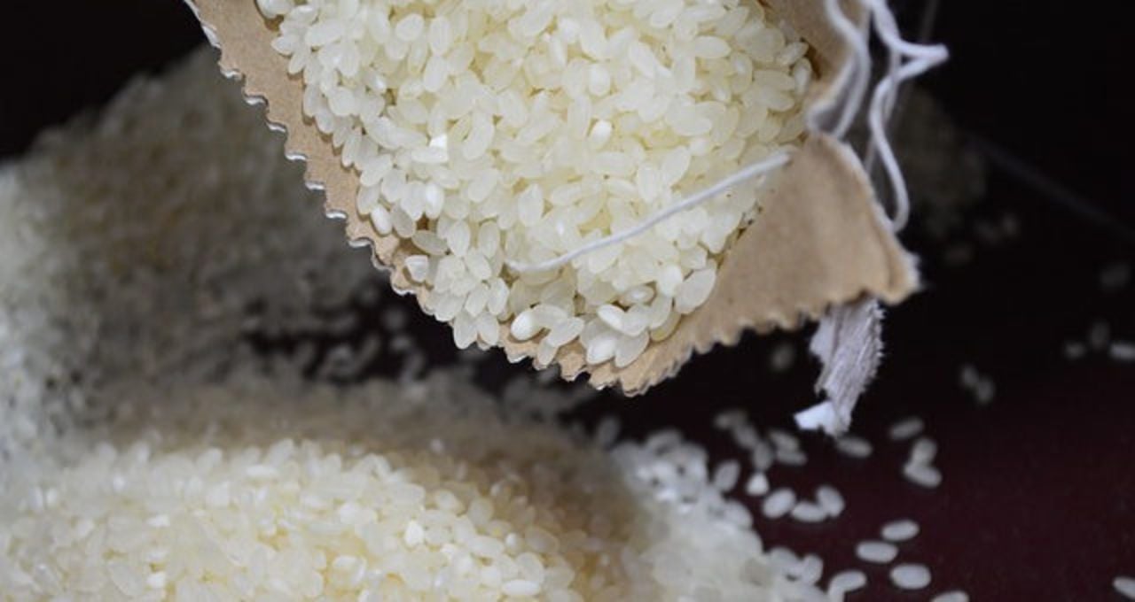 arroz importação leilão