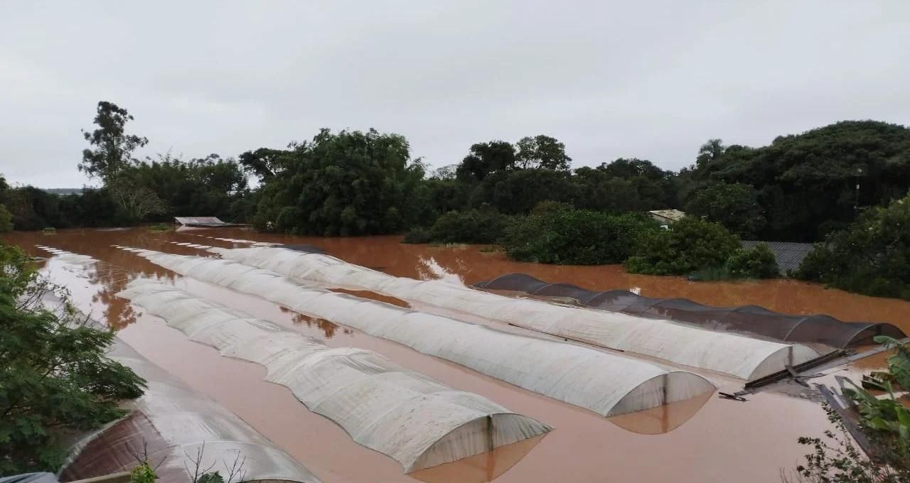 Pedidos de indenização por tragédia no Rio Grande do Sul chegam a R$ 3,9 bilhões