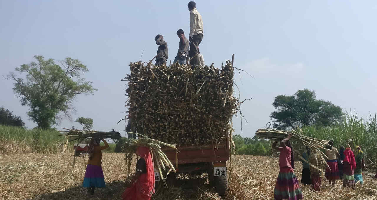 Pressão sobre o etanol cresce, melhores ações para julho e os reflexos de um La Niña tardio; os destaques do Agro Times