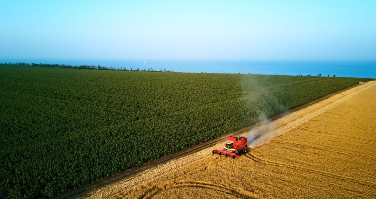 agro ações