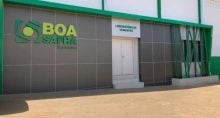 boa safra soja3