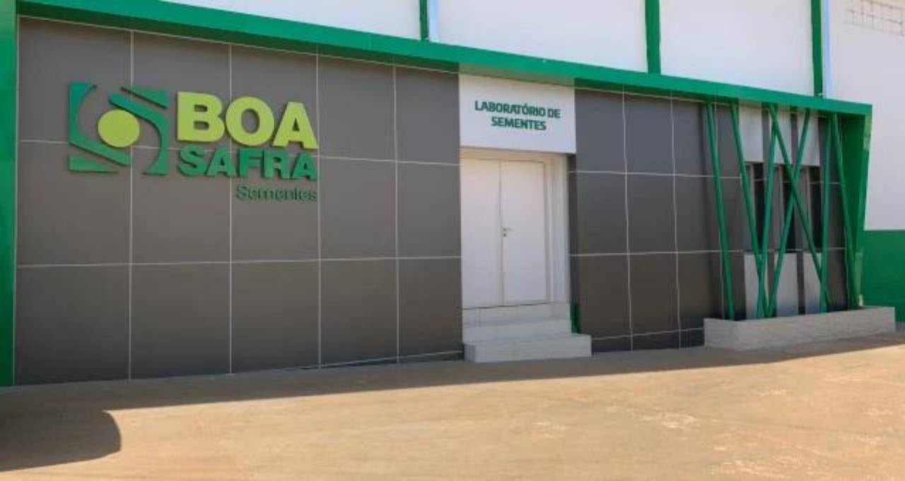 boa safra soja3