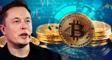 elon musk criptomoedas criptoativos