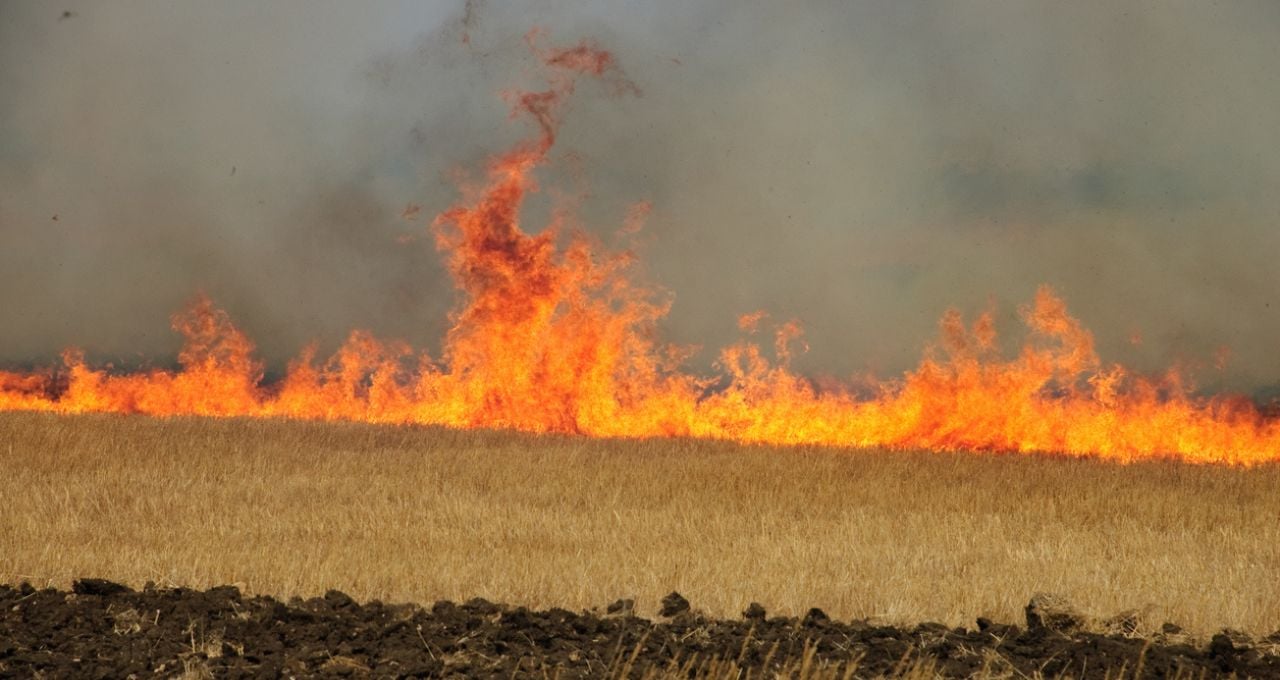 fogo solo lavouras incêndios